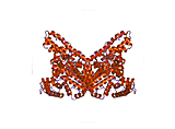 Blood derivates